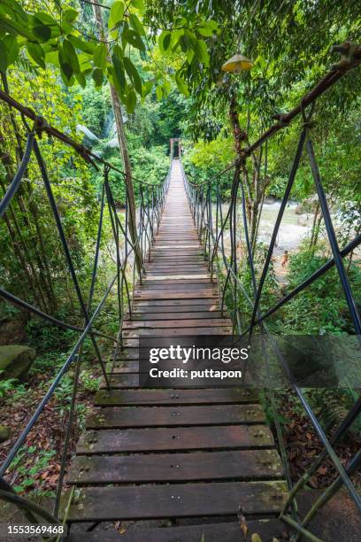 Waterfall Rocks Rope Bridge 189 Rope Bridge Over River Stock Photos, High-Res Pictures, and Images ...