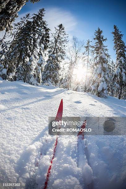 cross-country skiing on virgin snow-oslo, norway - oslo stock pictures, royalty-free photos & images
