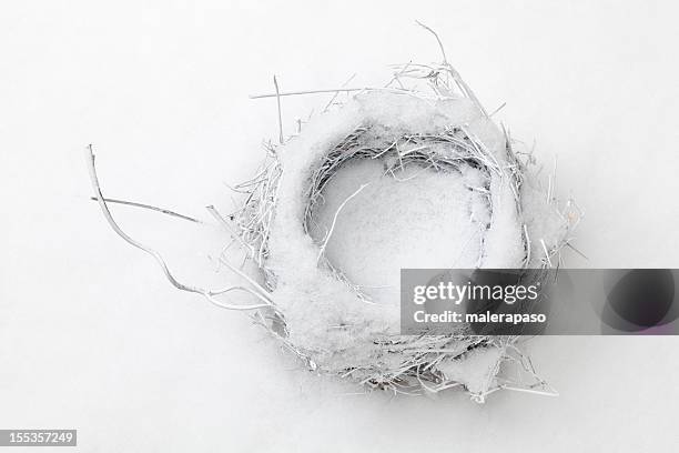 nest in the snow - birds nest stock pictures, royalty-free photos & images