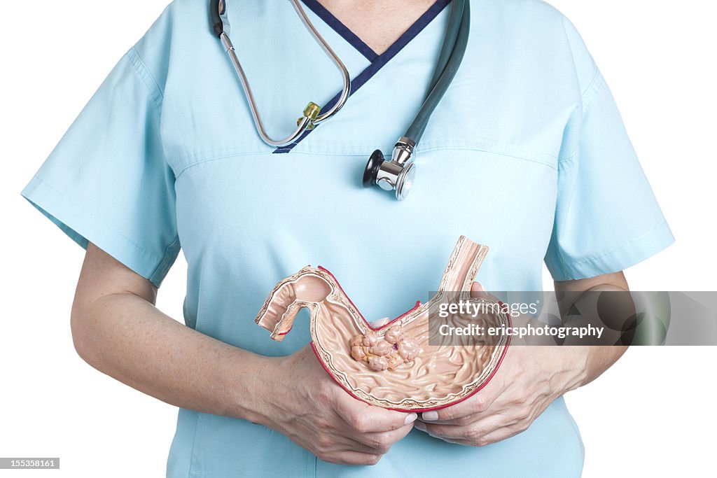 A medical professional holding an example of stomach cancer