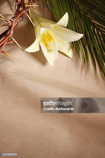 palm sunday, good friday and easter - easter lily stock pictures, royalty-free photos & images
