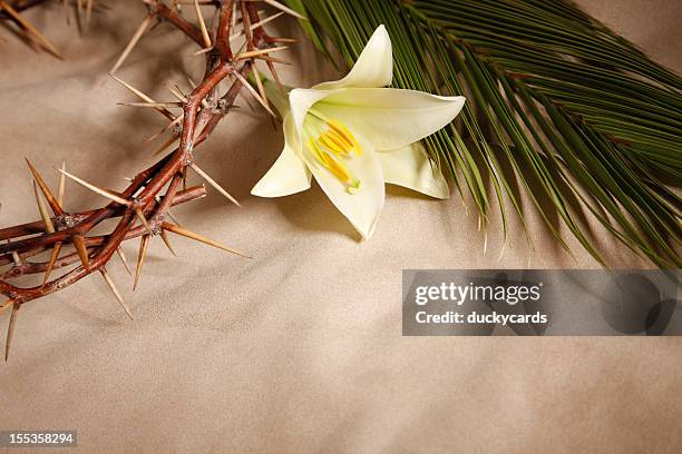 palm domingo, sexta feira e páscoa - coroa de espinhos imagens e fotografias de stock