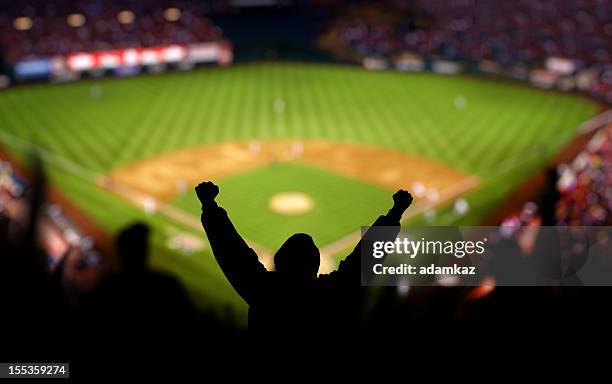 emoción de béisbol - campo de béisbol fotografías e imágenes de stock