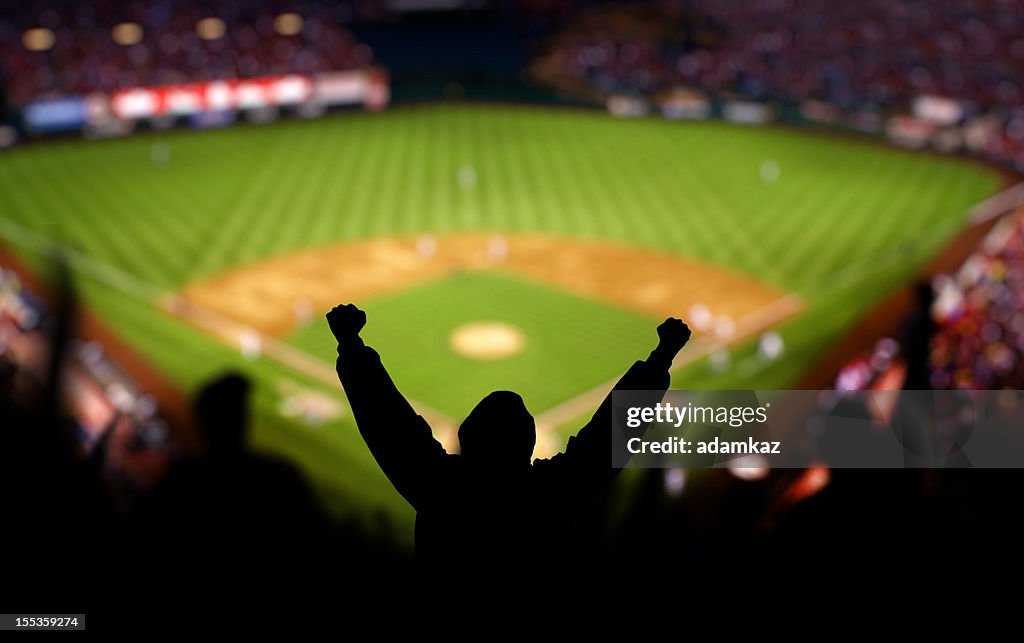 Baseball Excitement