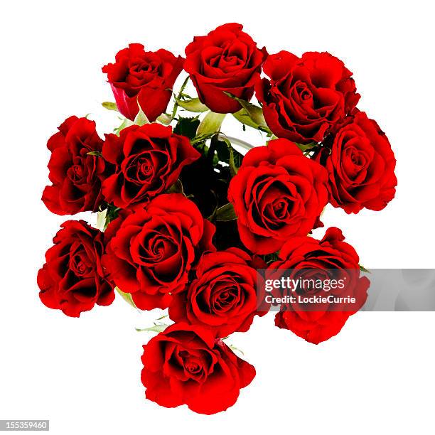 valentine - twelve roses stock pictures, royalty-free photos & images
