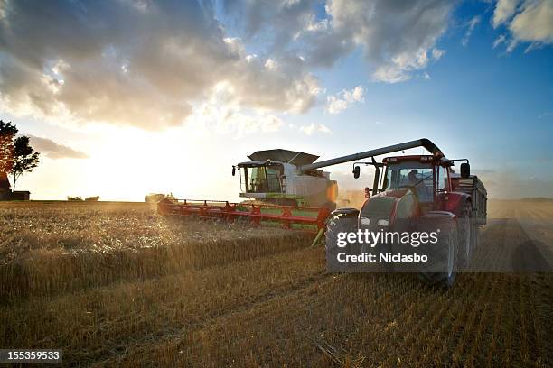 red tractor and combine - combine harvester stockfoto's en -beelden