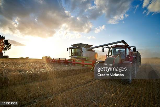 red tractor and combine - combine harvester stock pictures, royalty-free photos & images