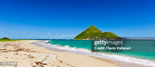 levera strand und grenada w.i. - insel grenada stock-fotos und bilder