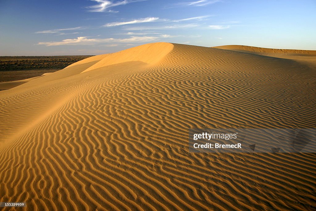 Golden sand dunes in Thar desert