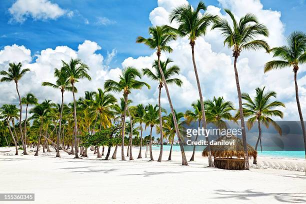 cap cana seacoast - coconut beach stock-fotos und bilder