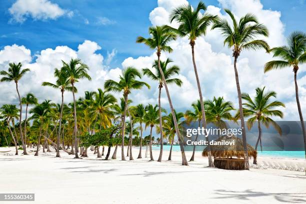 cap cana seacoast - punta cana foto e immagini stock