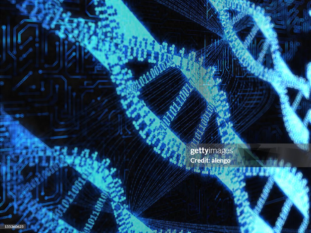 DNA binary
