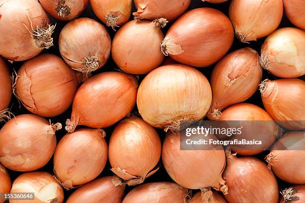 onions background - ui stockfoto's en -beelden