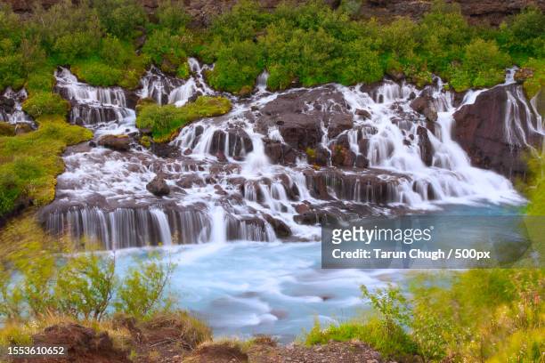 scenic view of waterfall in forest,hraunfossar,iceland - hraunfossar stock pictures, royalty-free photos & images