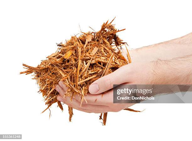 Mulch In Hand High-Res Stock Photo