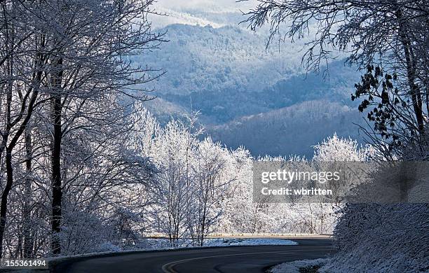 smoky mountains winter panoramic - newfound gap 個照片及圖片檔