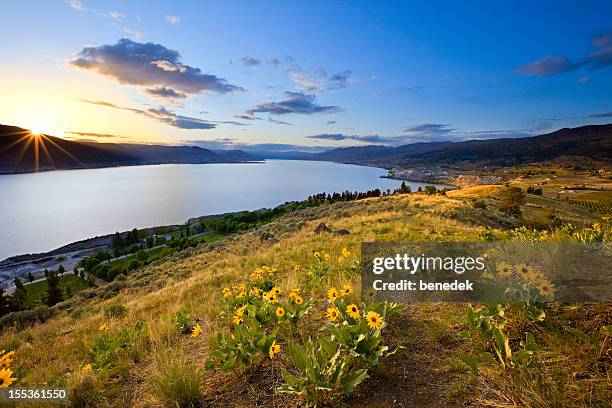glorious sunset, lake landscape - kelowna stock pictures, royalty-free photos & images