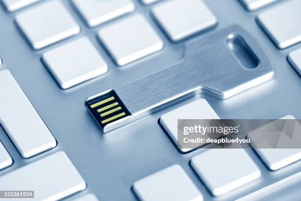 Key Computer Usb 392 Usb Security Key Stock Photos, High-Res Pictures, and Images ...