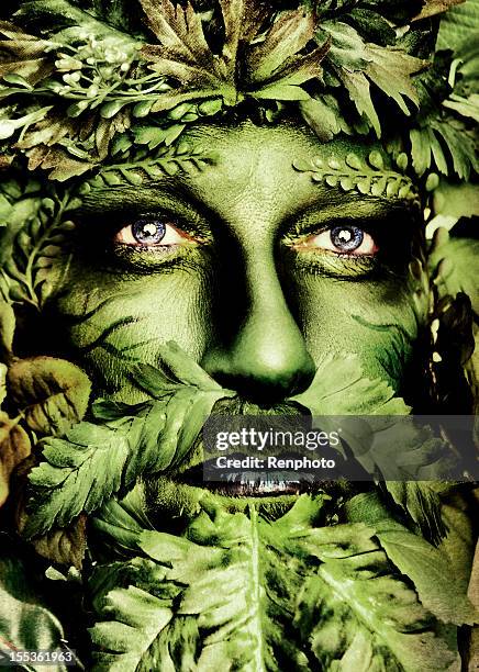 green man series - walk signal stock pictures, royalty-free photos & images