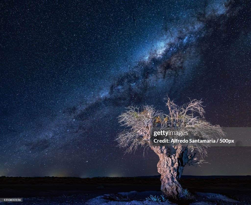 Scenic view of tree against sky at night,San Pedro de Atacama,Antofagasta,Chile