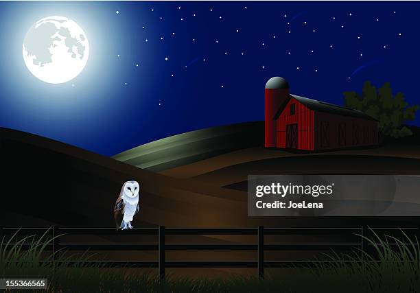 night on the farm - barn owl stock illustrations