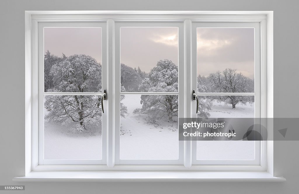 White windows with Winter view