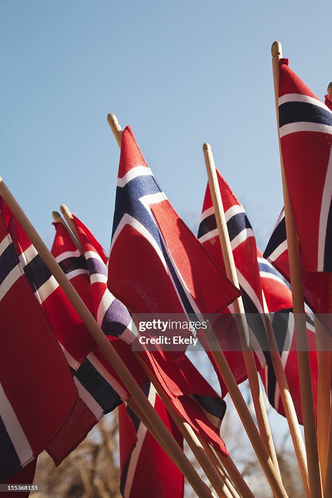 Group of Norwegian flag in red white and blue.