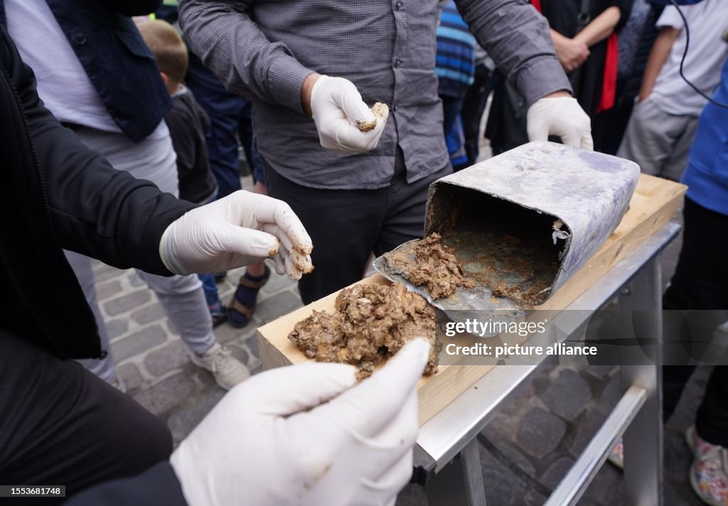 Coins found in 149-year-old time capsule in Eutin