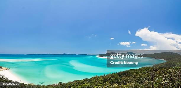 praia whitehaven (ilhas whitsunday, austrália - ilhas whitsunday imagens e fotografias de stock