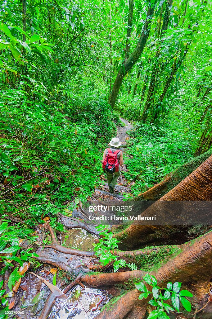 Vermont-Naturwanderung, Saint Vincent
