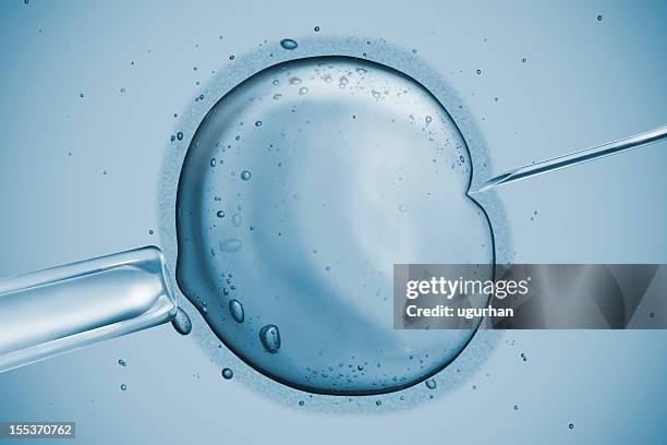 human fertility - artificial insemination stock pictures, royalty-free photos & images