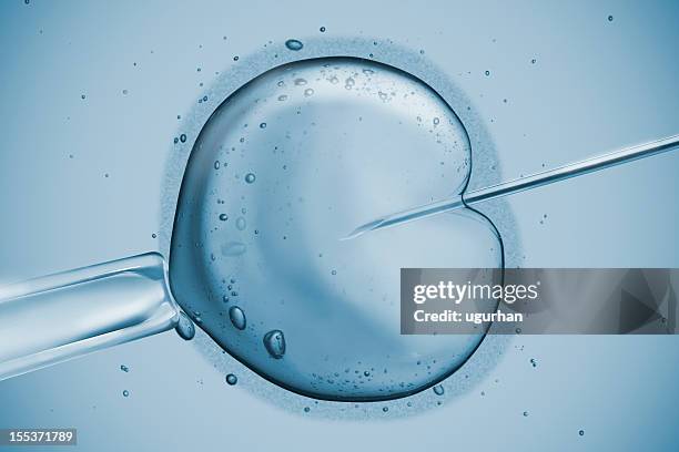 human fertility - human egg stockfoto's en -beelden