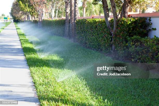 watering the lawn - irrigation equipment stock pictures, royalty-free photos & images