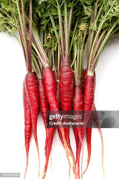 purple dragon carrots on white background - carrots white background stockfoto's en -beelden