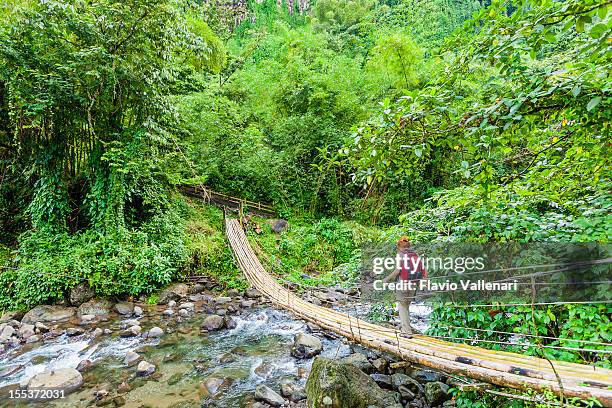 bambus-brücke, st. vincent - st vincent stock-fotos und bilder