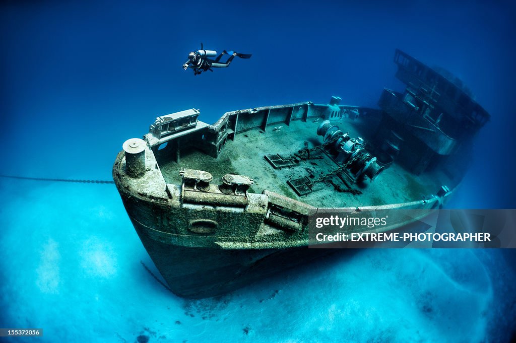 Subron 6, Mouette tridactyle