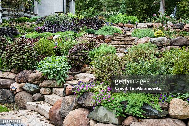 stone steps in the garden - stödjemur bildbanksfoton och bilder