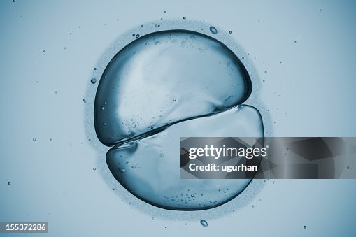 Cell Cell