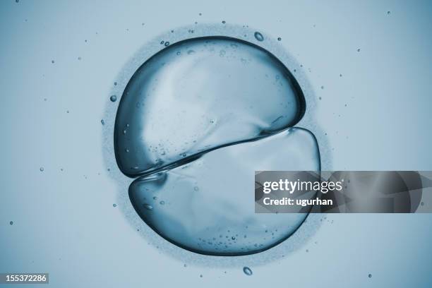 cell - divided stock pictures, royalty-free photos & images