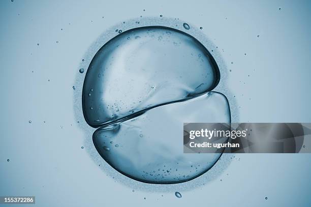 cell - stem cell 個照片及圖片檔