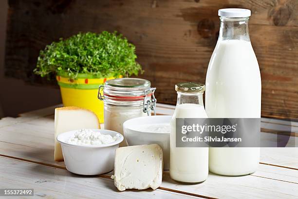 dairy products cheese yoghurt milk - cream dairy product 個照片及圖片檔