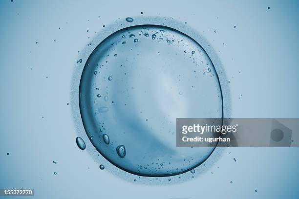 human cell - human egg cell stock pictures, royalty-free photos & images