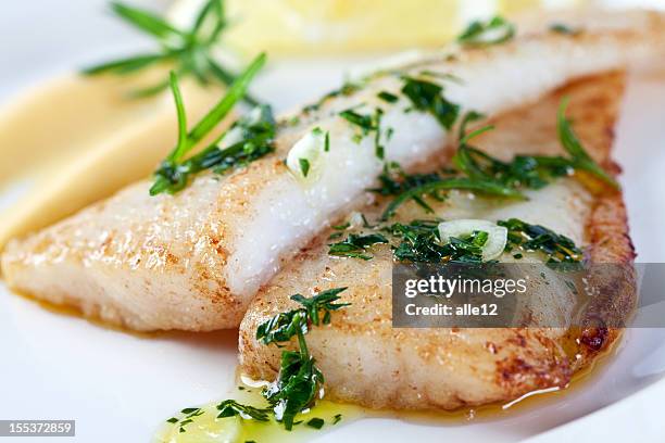 closeup photograph of white fish - cold blooded stock pictures, royalty-free photos & images