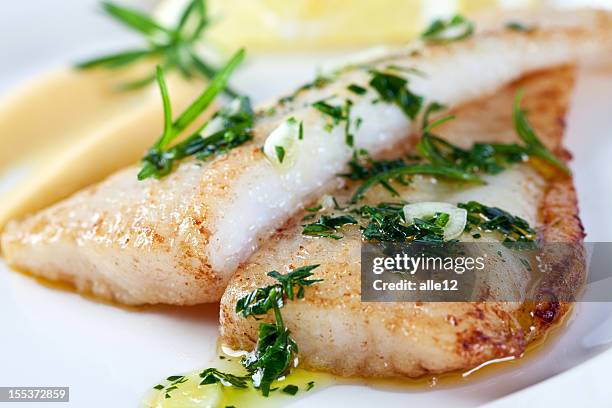 closeup photograph of white fish - plattfisk bildbanksfoton och bilder