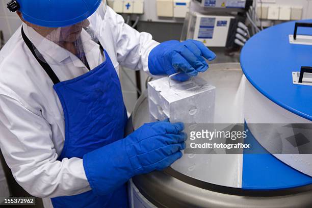 wissenschaftler arbeiten in einem behälter mit flüssiger stickstoff - flüssiger stickstoff stock-fotos und bilder
