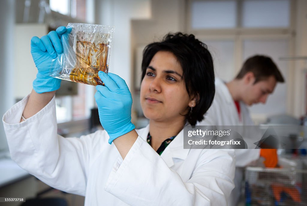 Female scientist in lab studying results of a DNA-test
