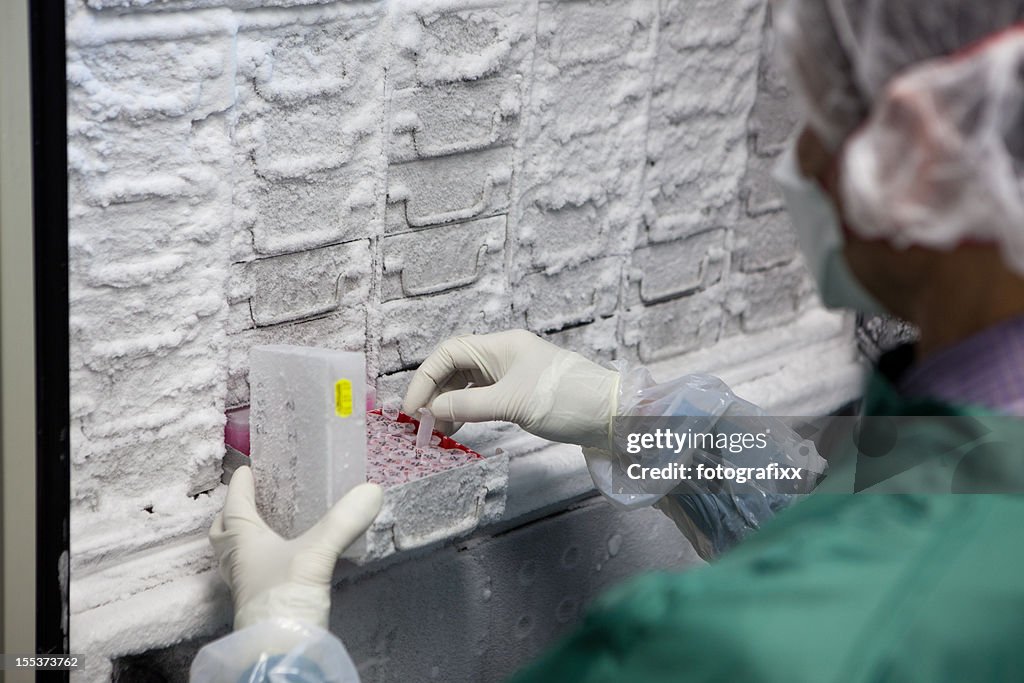 Researcher looks for samples in a Thermo Scientific freezer