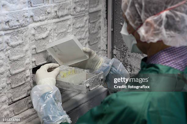 researcher looks for samples in a thermo scientific freezer - freezer stock pictures, royalty-free photos & images