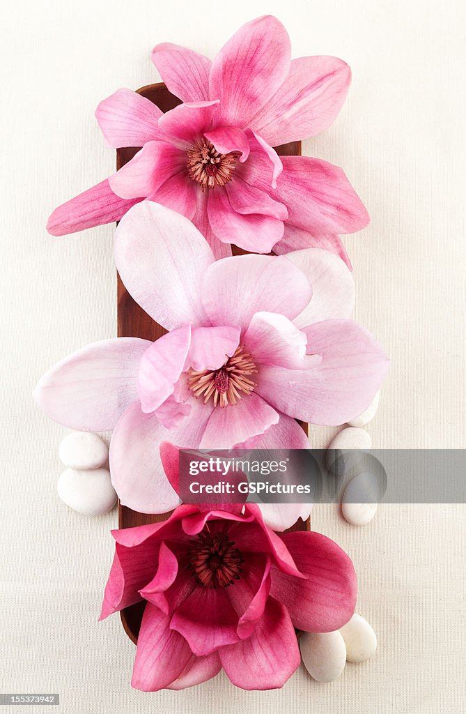 Closeup of red magnolia flowers on wooden bowl.