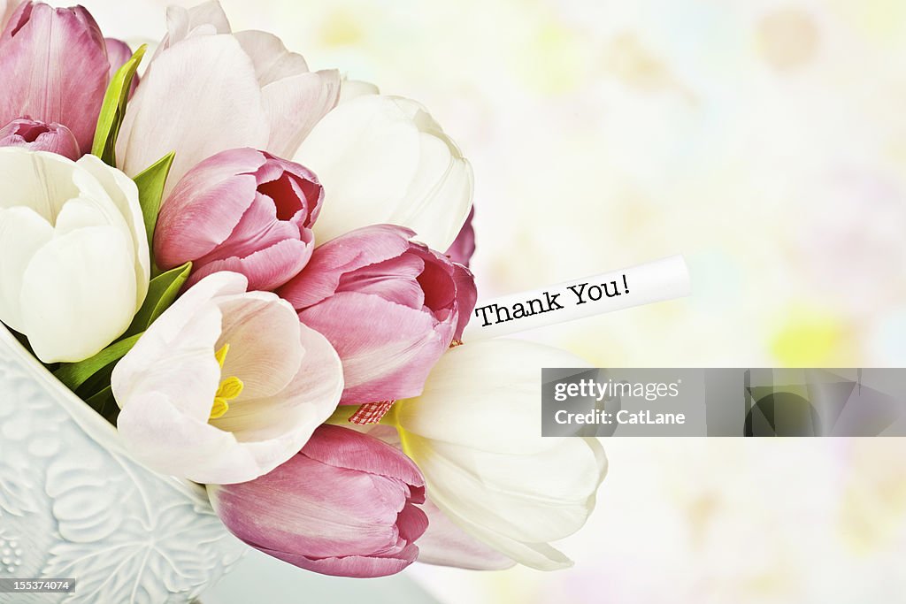 Vielen Dank Nachricht in Tasse Tulpen